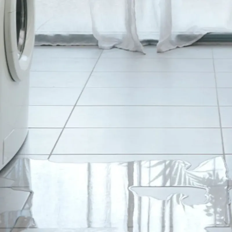 Appliance Leak Cleanup in Zephyrhills West, FL
