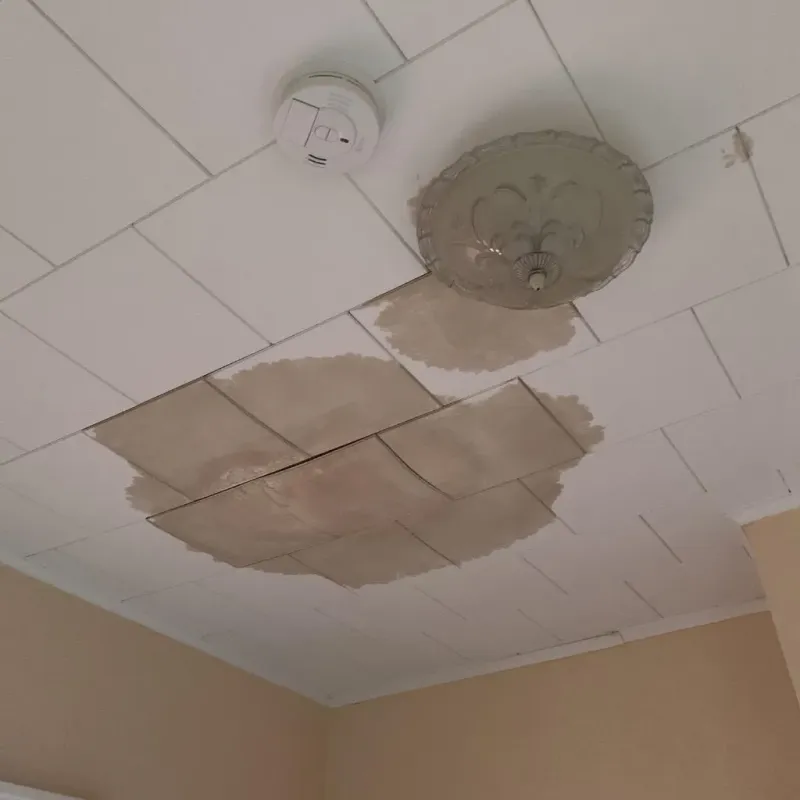 Ceiling Water Damage Repair in Zephyrhills West, FL